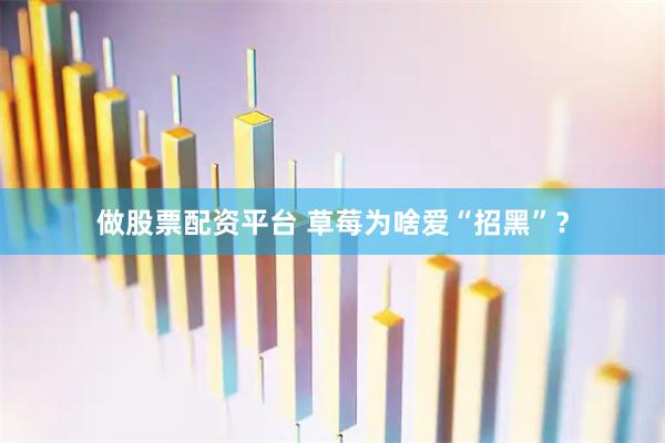 做股票配资平台 草莓为啥爱“招黑”？