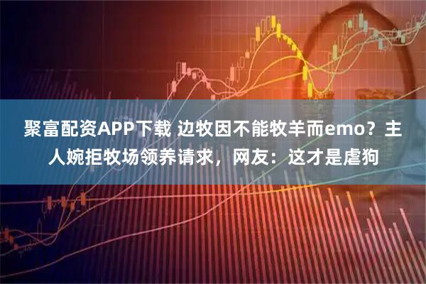 聚富配资APP下载 边牧因不能牧羊而emo？主人婉拒牧场领养请求，网友：这才是虐狗