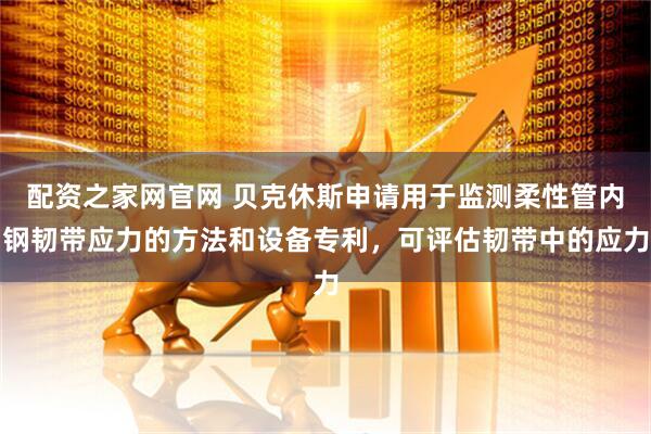 配资之家网官网 贝克休斯申请用于监测柔性管内钢韧带应力的方法和设备专利，可评估韧带中的应力