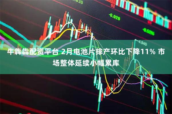 牛犇犇配资平台 2月电池片排产环比下降11% 市场整体延续小幅累库